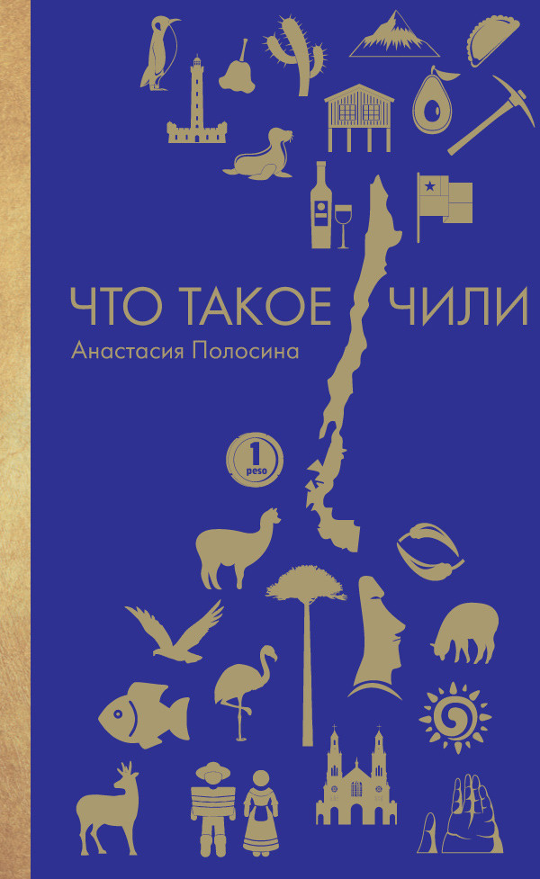 Что такое Чили | Полосина Анастасия #1