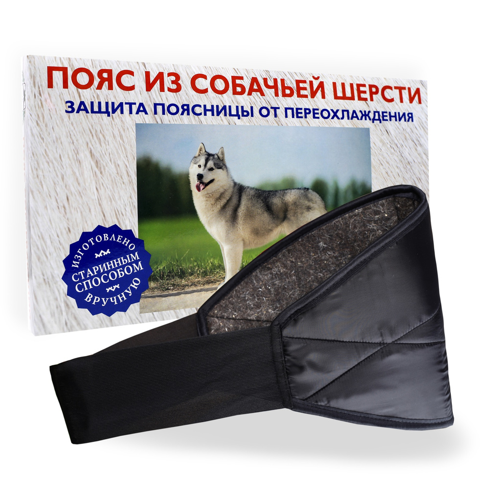 AZOVMED Пояс согревающий-лечебный, из собачьей шерсти для поясницы ...