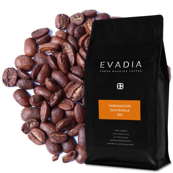 Свежеобжаренный кофе в зернах EvaDia Марагоджип Гватемала, 350г ...