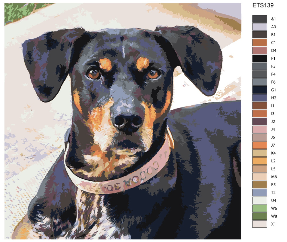 Ошейник для собак United Pets Complete me, разноцветный рисунок