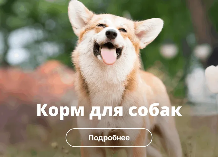 Категория 1