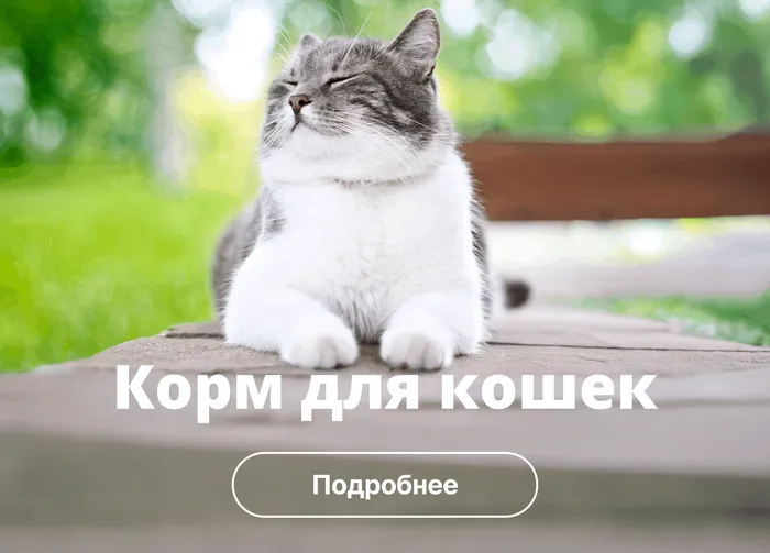 Категория 2