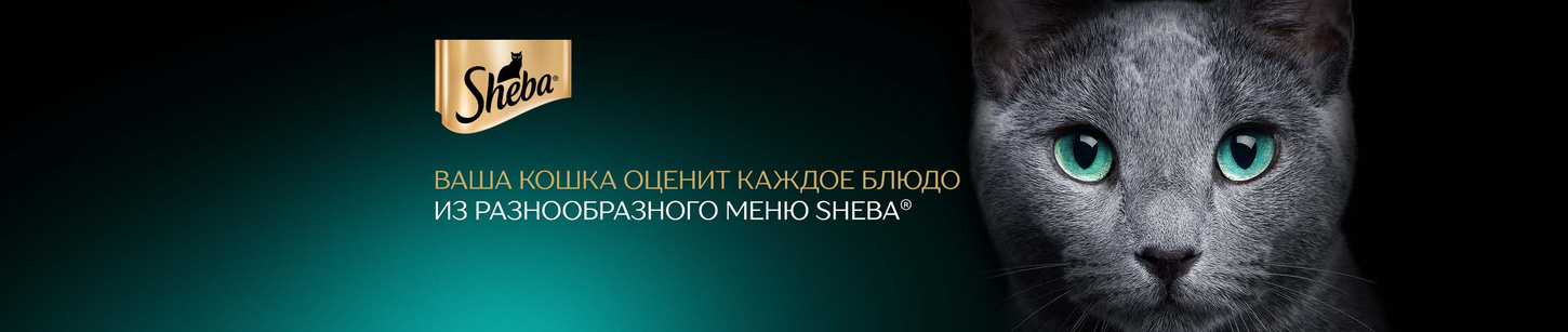 Sheba — купить товары Sheba в интернет-магазине OZON