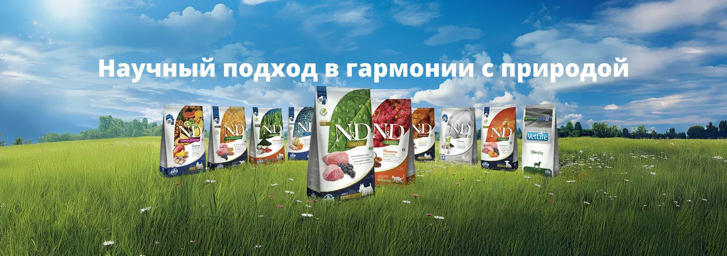 Главный баннер