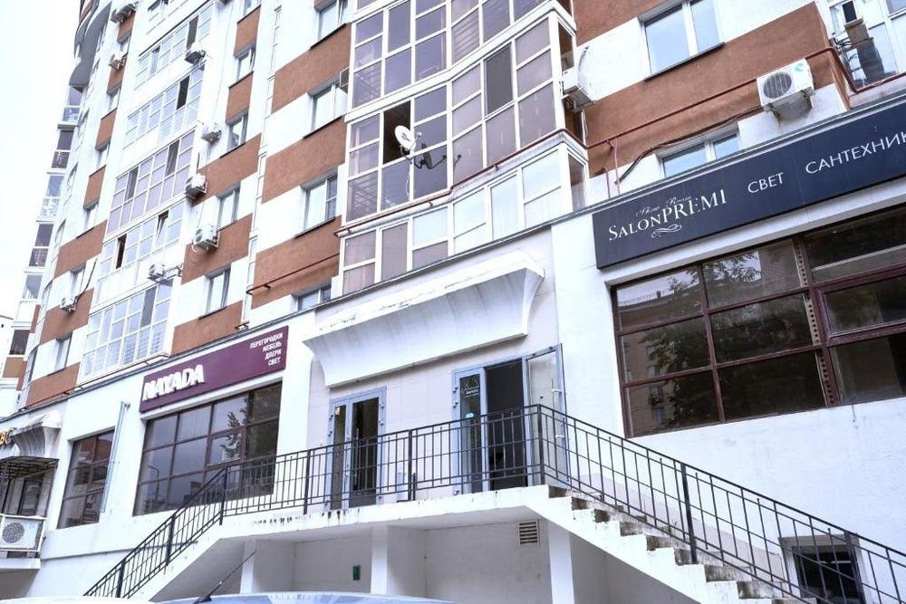 Львы Петербурга Blog Fiesta