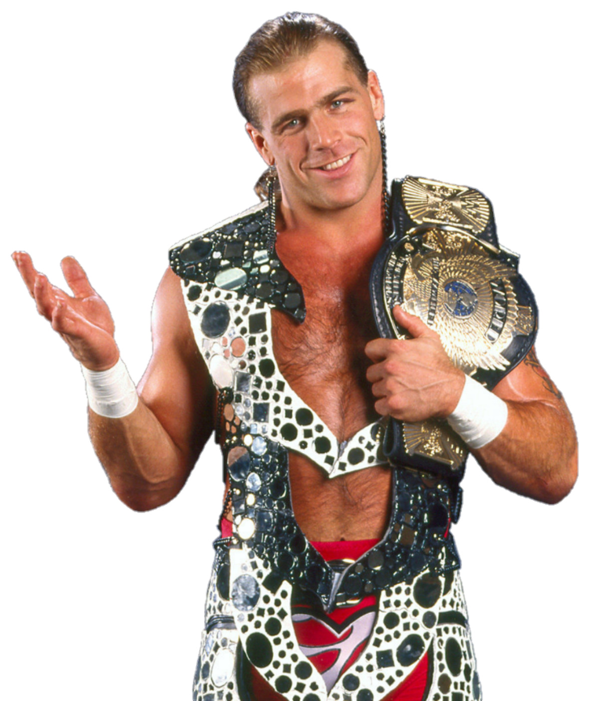 shawn michaels siblings - Ilustrasi 2