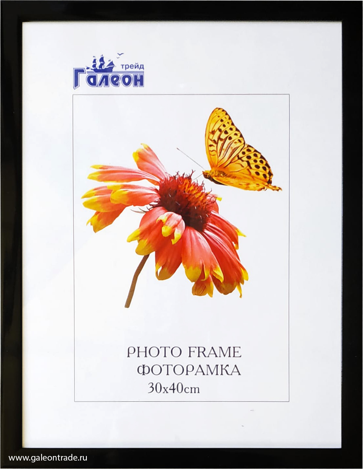 Фоторамка пластиковая 30 х 40 см, черная