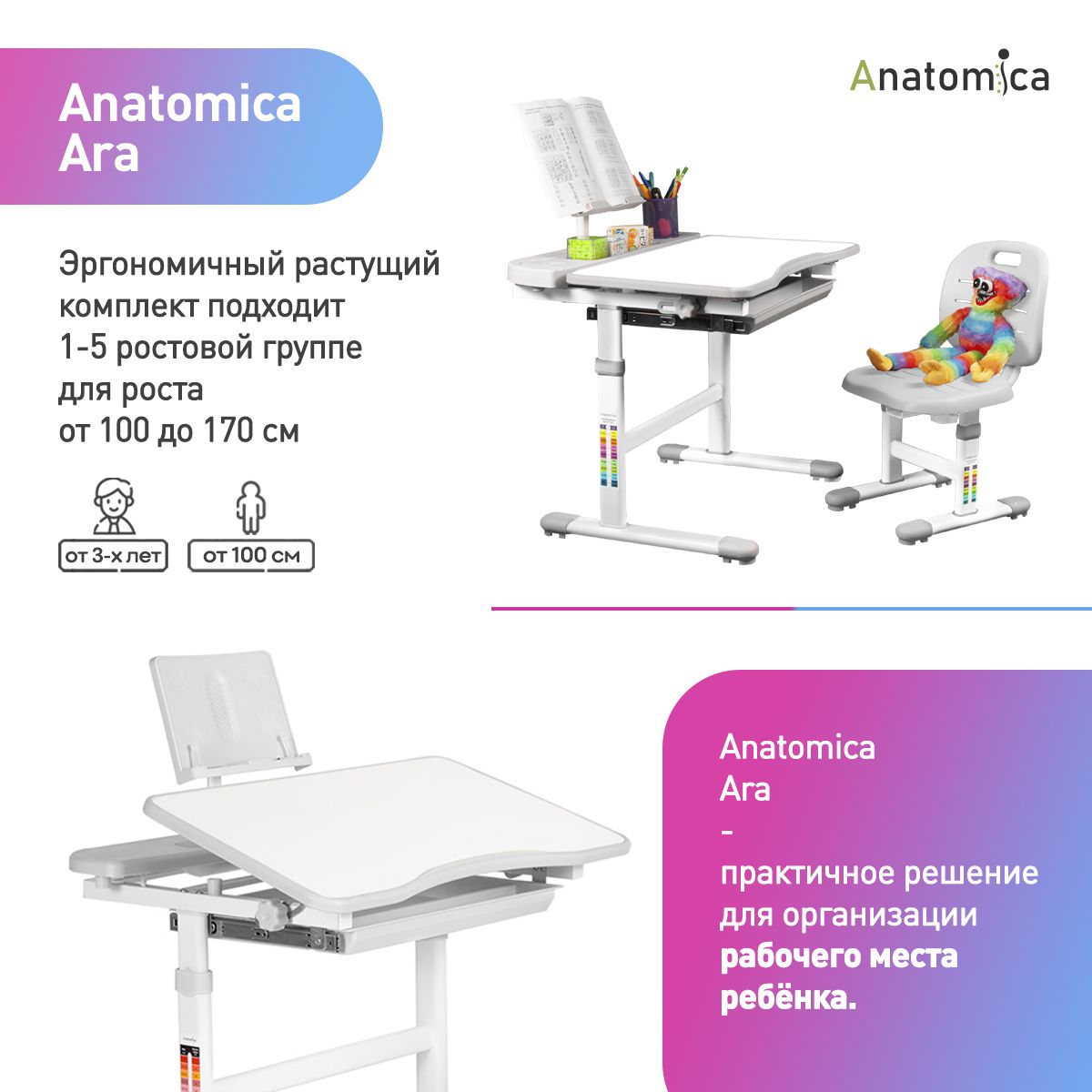 Комплект anatomica amata парта стул выдвижной ящик подставка светильник белый серый