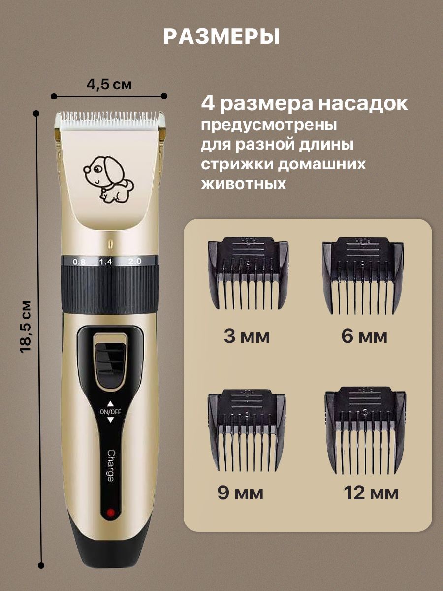 Вацапр. Вацапр