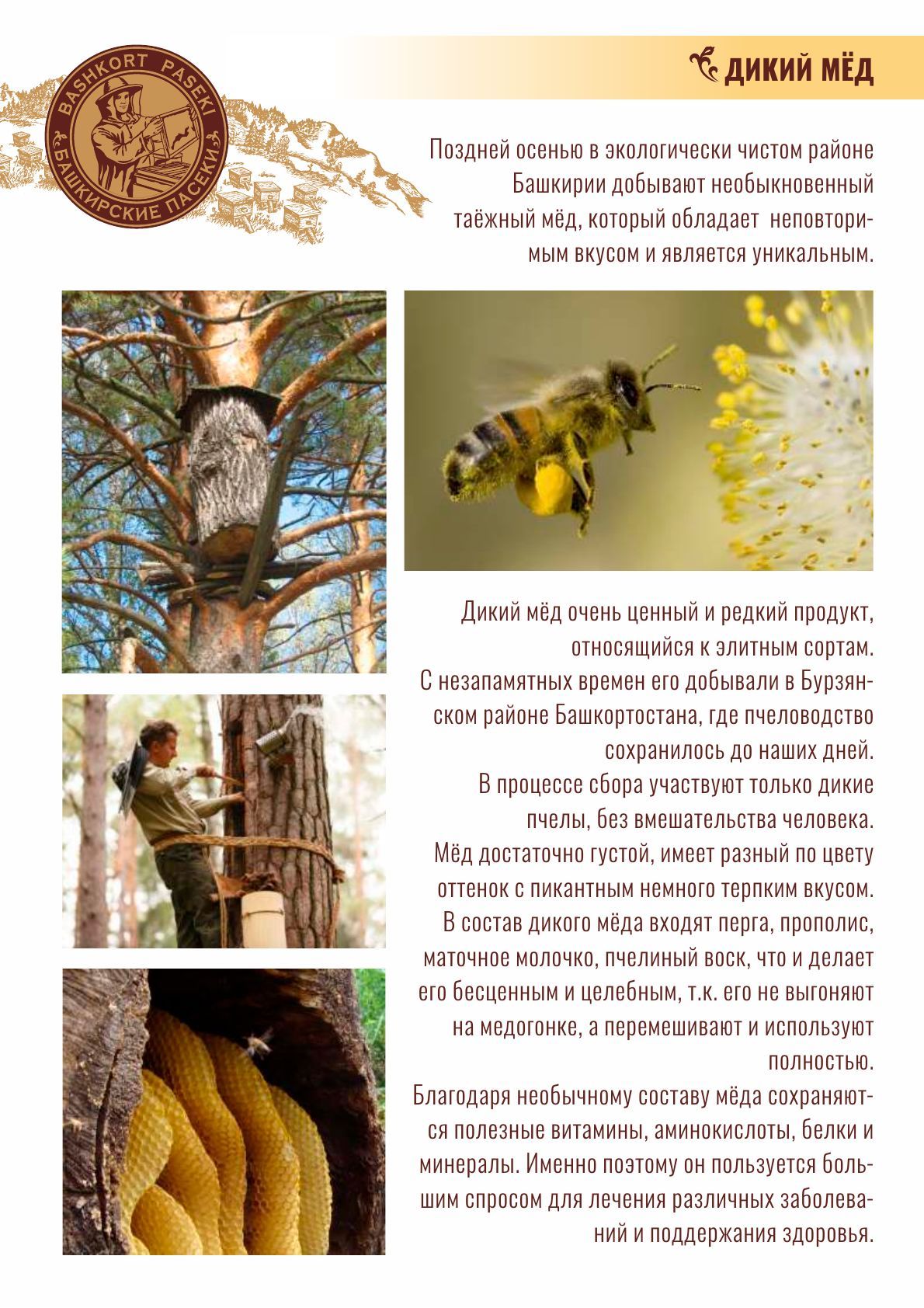 Бортевой Мед Купить В Спб