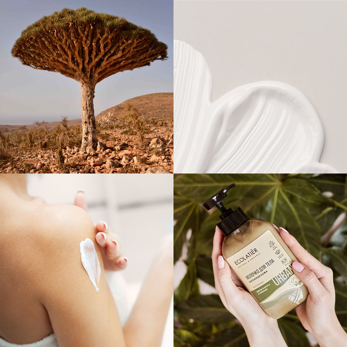 ECOLATIER / Крем для рук и тела SOS Глубокое увлажнение алоэ вера ...