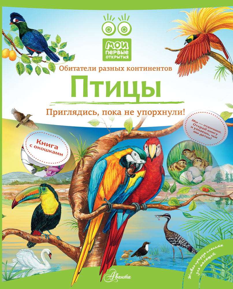 Птицы #1