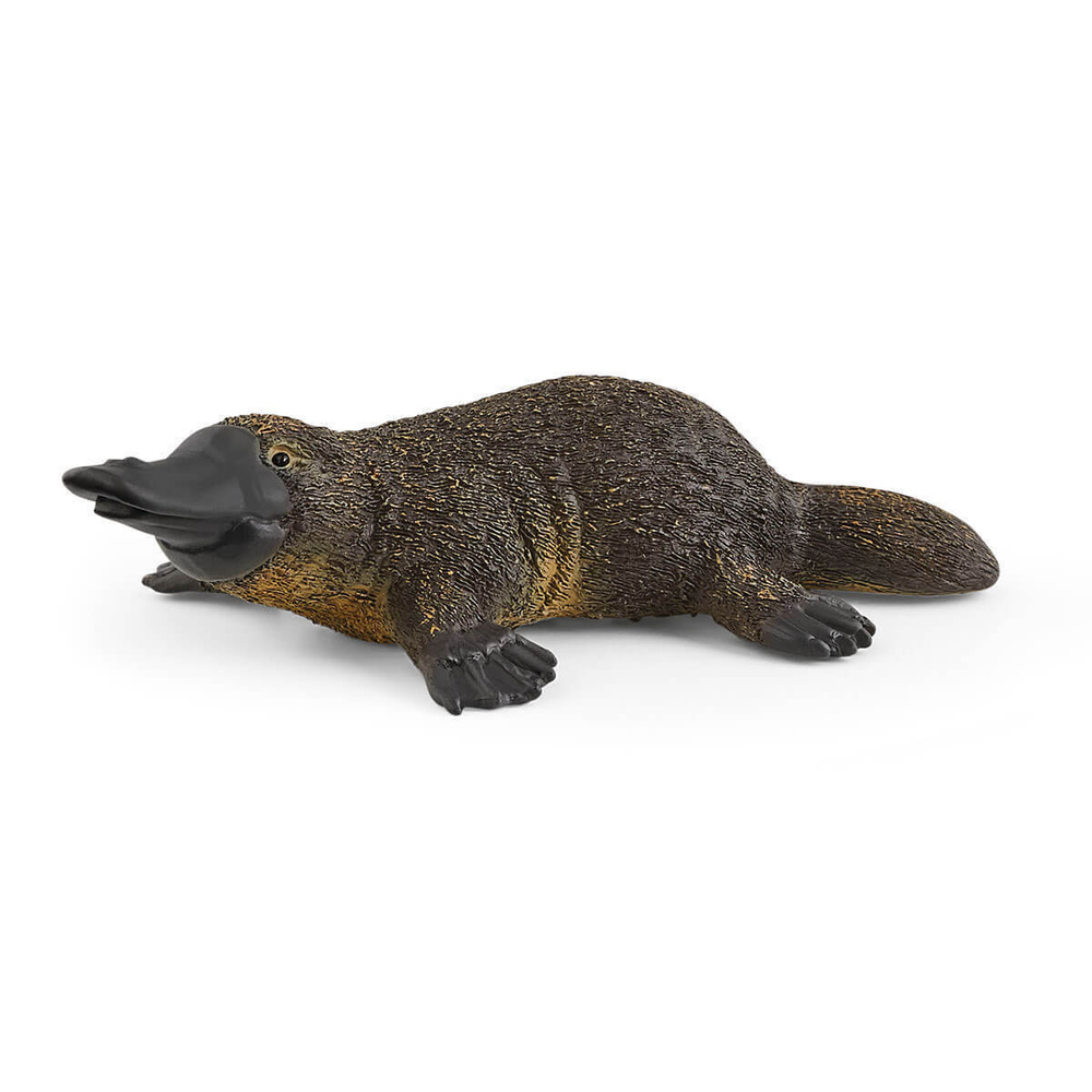 Schleich 14840 Фигурка Утконос - купить с доставкой по выгодным ценам в  интернет-магазине OZON (256098659)