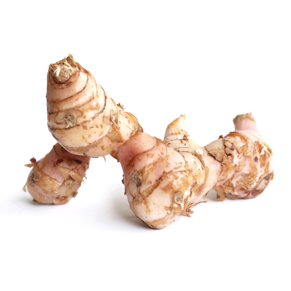 Корень Галангала 900г - купить с доставкой по выгодным ценам в интернет ...