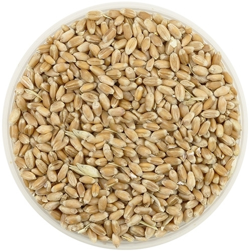 Пшеница зерна, 1 кг #1