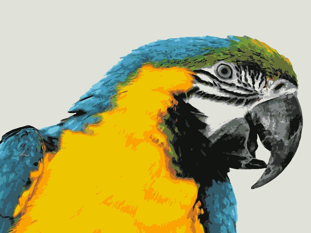 Картина по номерам Hobruk "Попугай", на холсте на подрамнике 50х40 ...