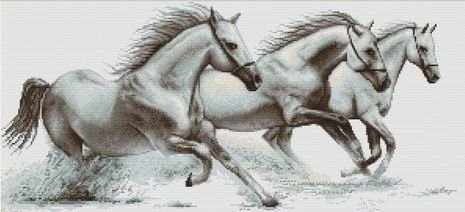 Набор для вышивания крестом Luca-S B495 "Белые лошади" 47х21.5 см  #1