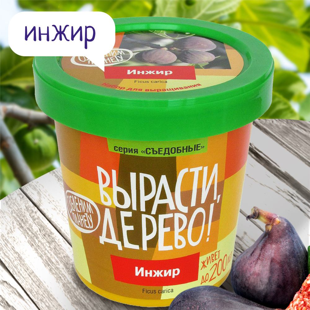 Вырасти, Дерево! Набор для выращивания купить на OZON по низкой цене ...