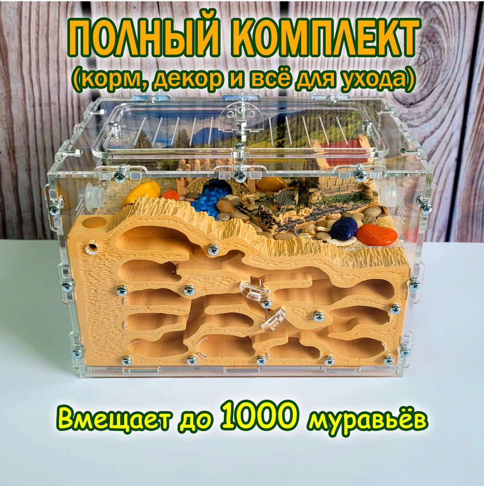 Муравьиная ферма ANTHILL ЛЕС СТАНДАРТ