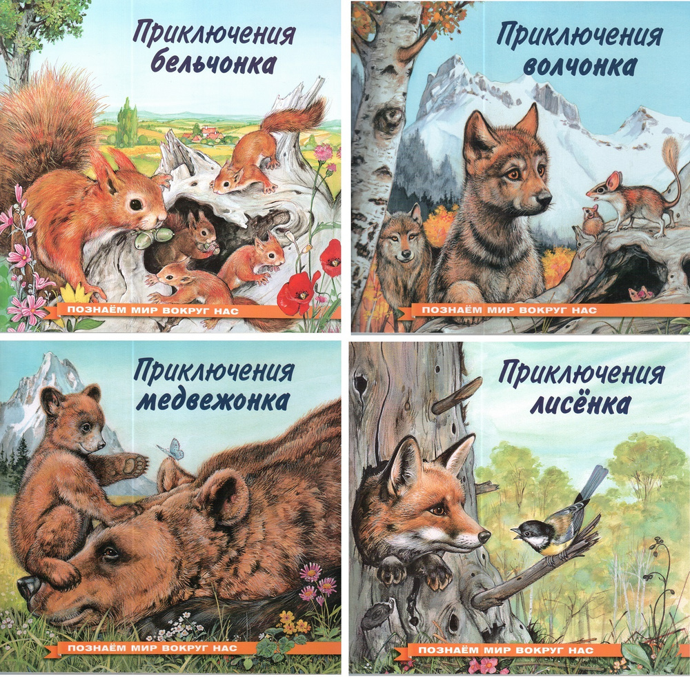 Приключения бельчонка, волчонка, лисенка, медвежонка. | Гурина Ирина ...