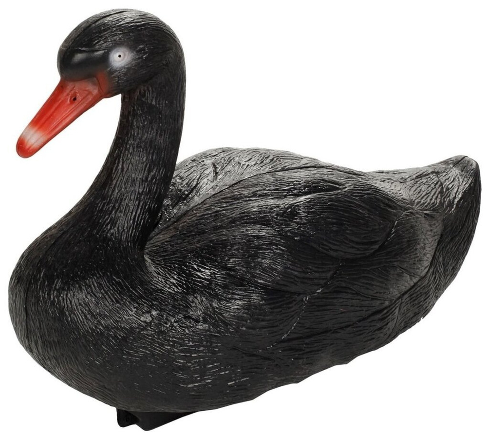 Фигура птицы на воде: Грация и великолепие мира лебедей