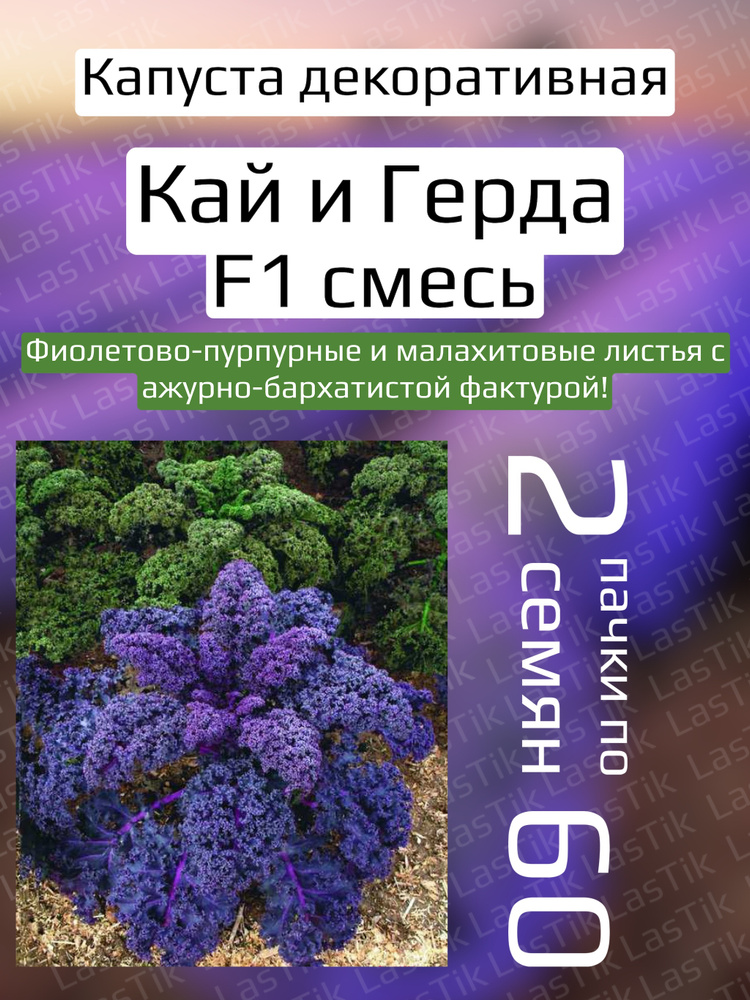 Декоративная капуста Русский огород 73186574 - купить по выгодным ценам в интернет-магазине OZON (599986321)