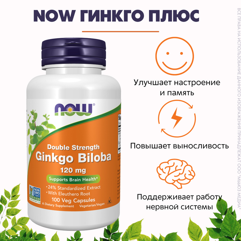 NOW Гинкго Плюс 500мг 100капс (GINKGO BILOBA 120mg 100 VCAPS) - купить с  доставкой по выгодным ценам в интернет-магазине OZON (235190991)