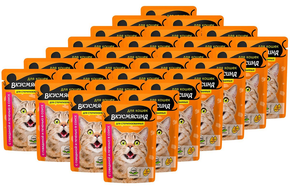 ВКУСМЯСИНА для кастрированных котов и стерилизованных кошек с говядиной ...