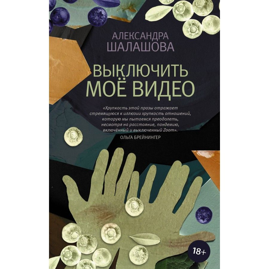 Книга. Выключить моё видео. Шалашова А.Е.