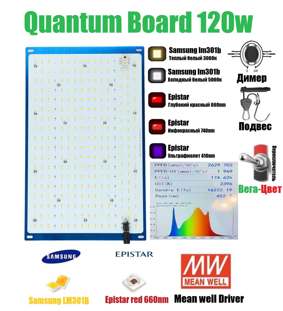 bestva quantum board