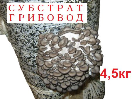 Грунт 8 л 1 шт для рассады для стимуляции роста и питания #1