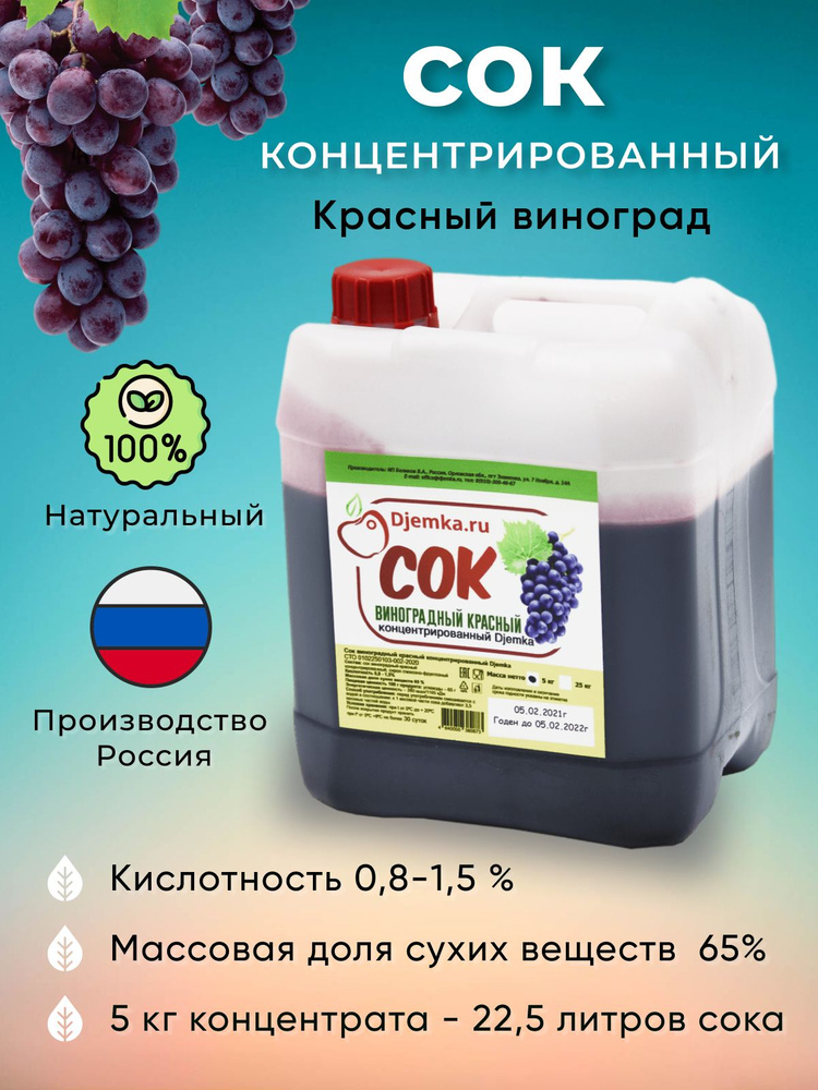Концентрированный сок, концентрат Djemka Виноградный Красный 5 кг для изготовления сидра, настоек, вина, #1