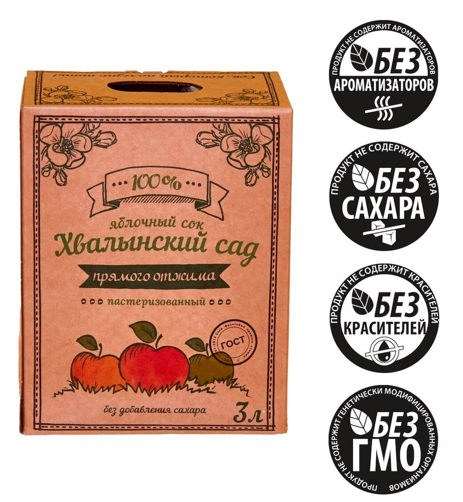 Яблочный сок натуральный прямого отжима пастеризованный Хвалынский сад ...