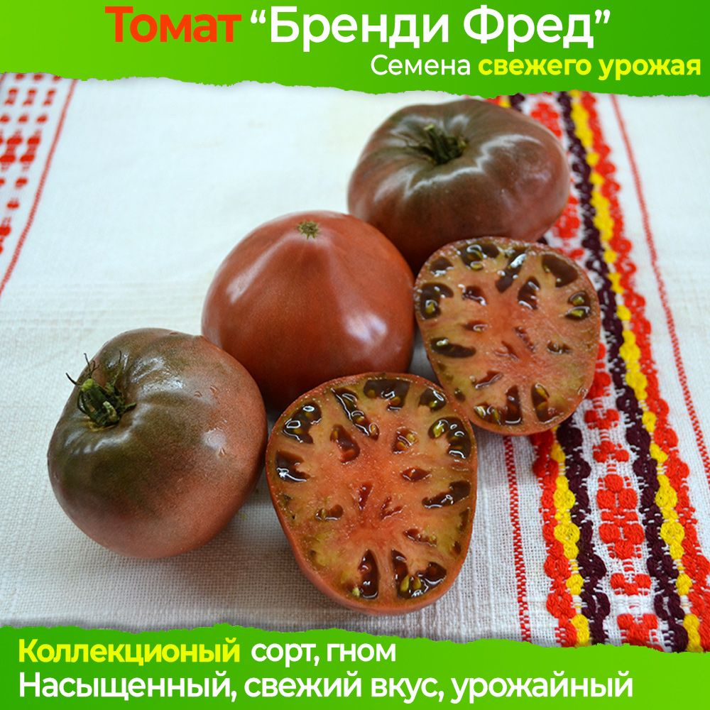 Семена томата Бренди Фред (гном) - коллекционный сорт #1