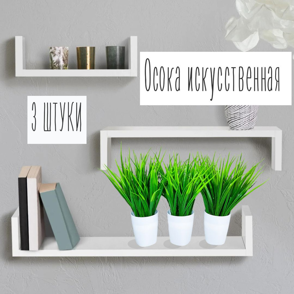 Живая трава в горшке - фото и картинки мебель-соня.рф