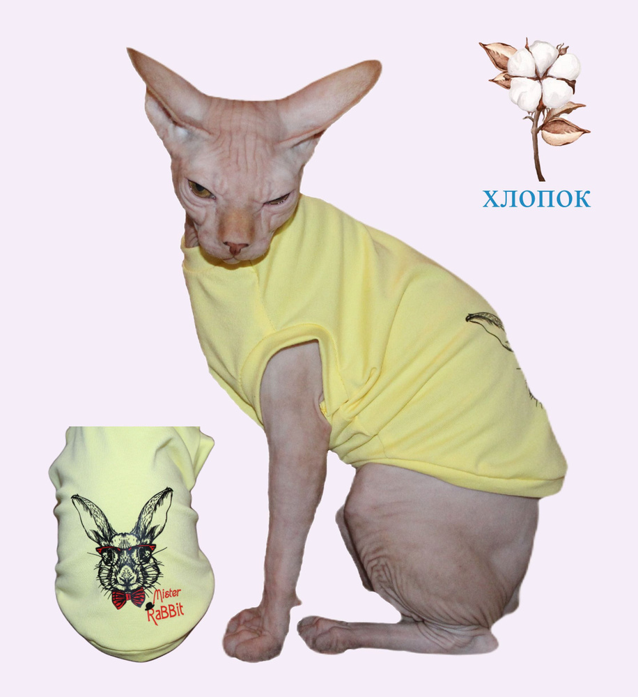 Одежда для кошек, котов и собак мелких пород - купить с доставкой по  выгодным ценам в интернет-магазине OZON (835805182)