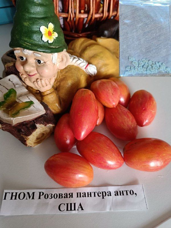 Семена #1