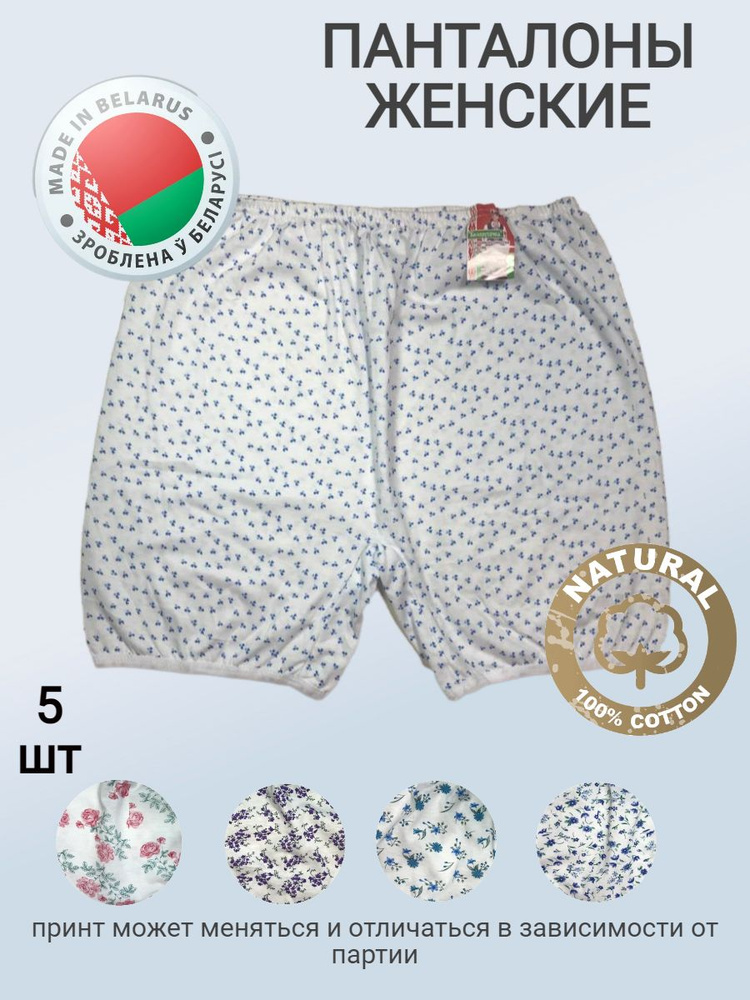 Трусы панталоны, оверсайз Беларус, 5 шт - купить с доставкой по выгодным  ценам в интернет-магазине OZON (842408954)