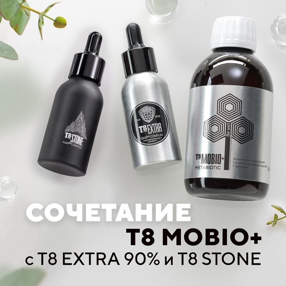 Комплекс : T8 Extra + T8 Mobio + Stone (Tayga8 Vilavi) #1