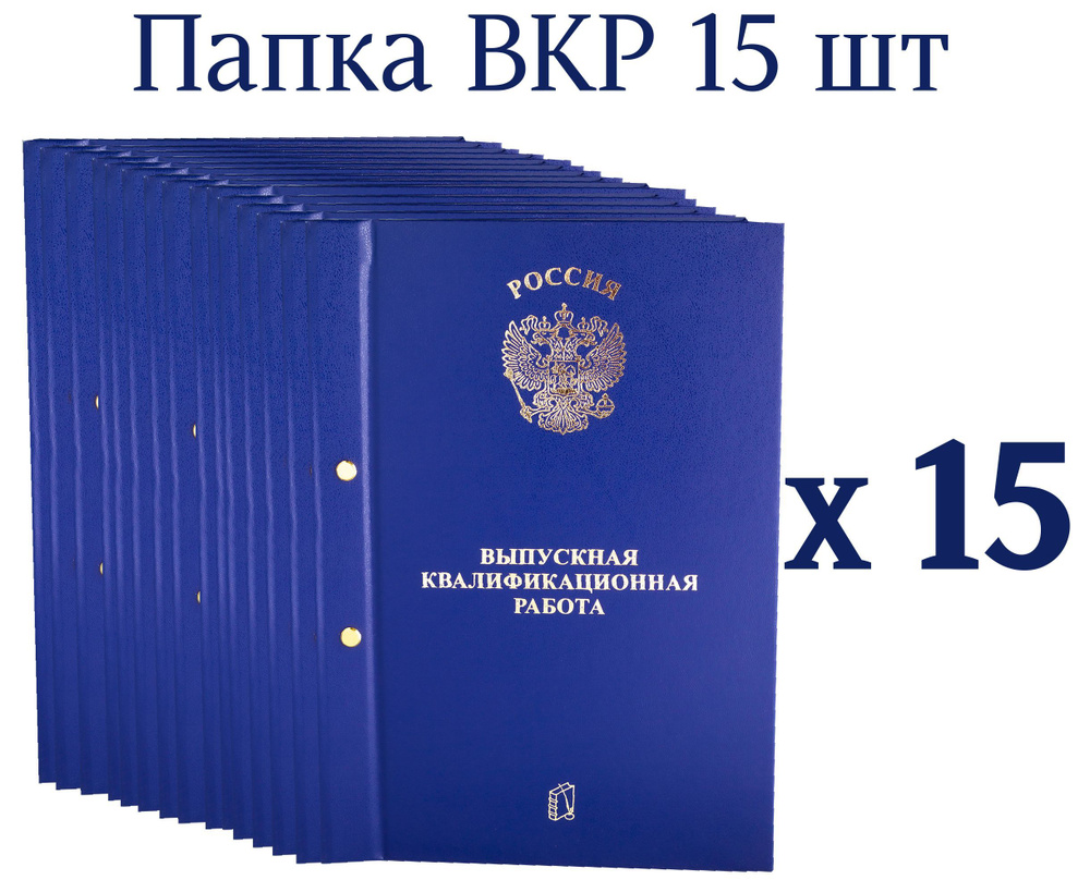 Папка для ВКР на 2 болта комплект 2,3,5,10,15,20 шт Выпускная  квалификационная работа