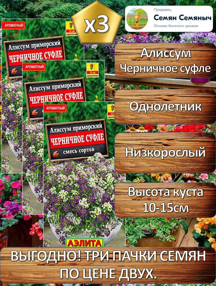 Семена цветов Алиссум "Черничное суфле, смесь сортов" (3 упаковки по 0,1г семян)  #1