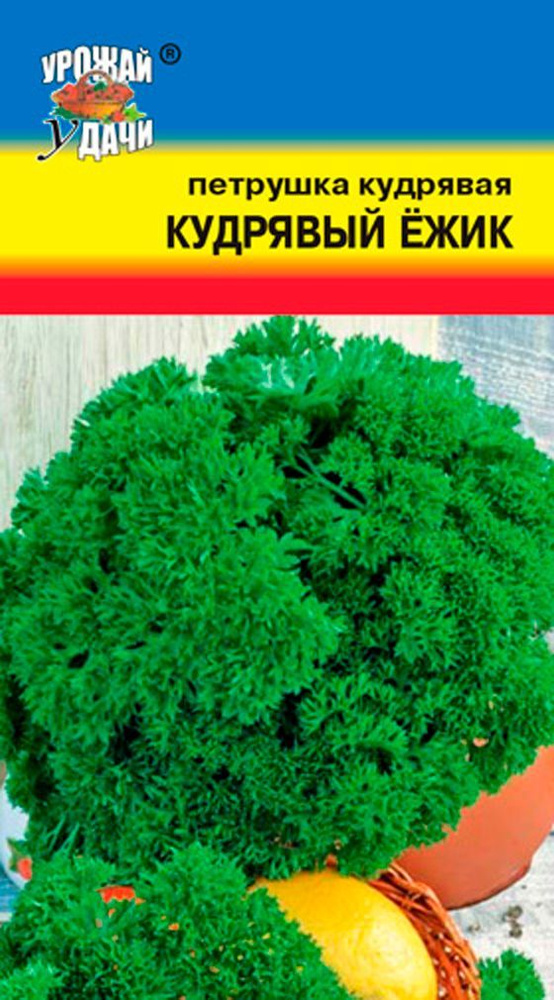 Семена Петрушка Кудрявая КУДРЯВЫЙ ЁЖИК (Семена УРОЖАЙ УДАЧИ, 2г в упаковке)  #1