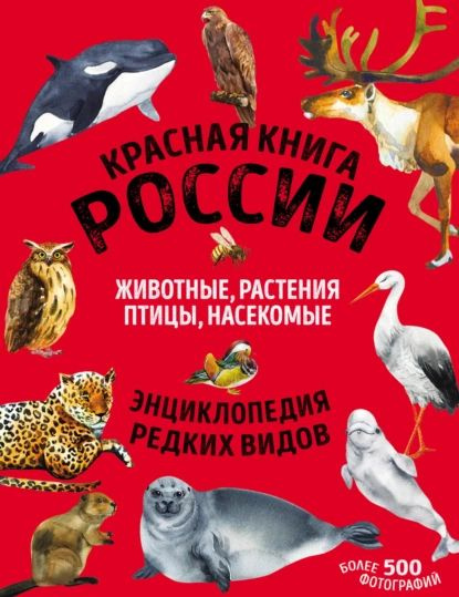 Редкие цветы из Красной книги – ландыши, тюльпаны, подснежники | megacvetru