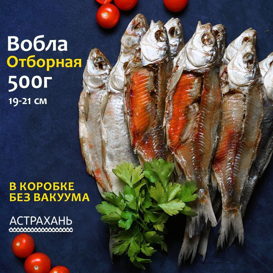 Вобла астраханская с икрой Отборная 500 г (19-21 см) в коробке без вакуума  вяленая рыба закуска к пиву - купить с доставкой по выгодным ценам в  интернет-магазине OZON (710472088)