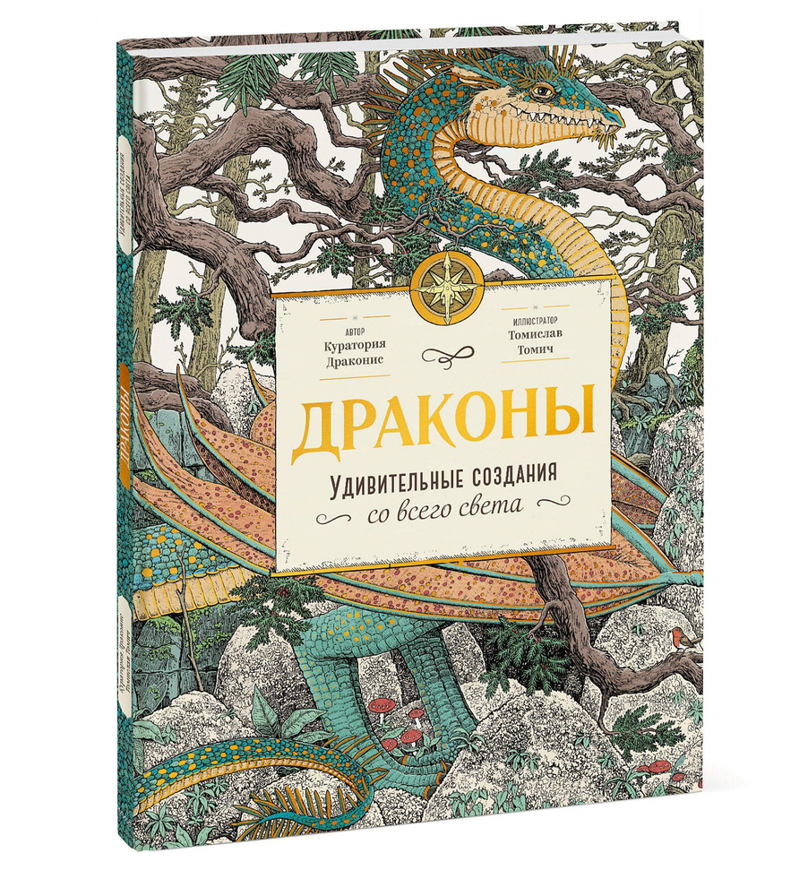 Драконы. Удивительные создания со всего света | Драконис Куратория  #1