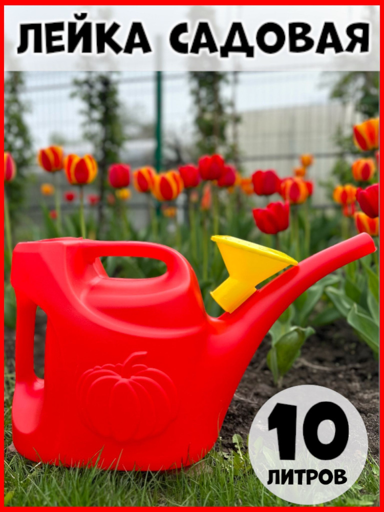 Лейка 10л садовая с рассеивателем Урожайная в ассорт купить на OZON по ...