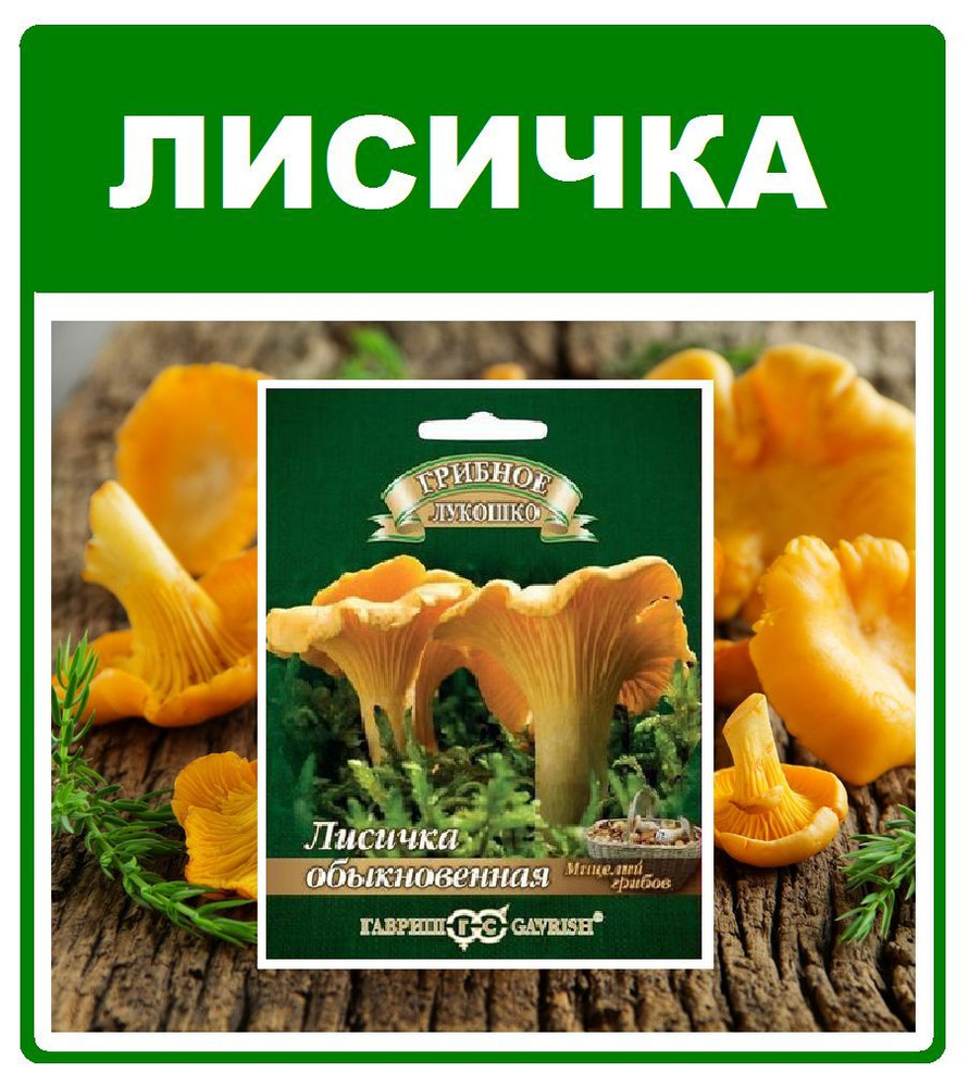 Грибы Лисичка обыконовенная мицелий в субстрате 15мл. Гавриш  #1