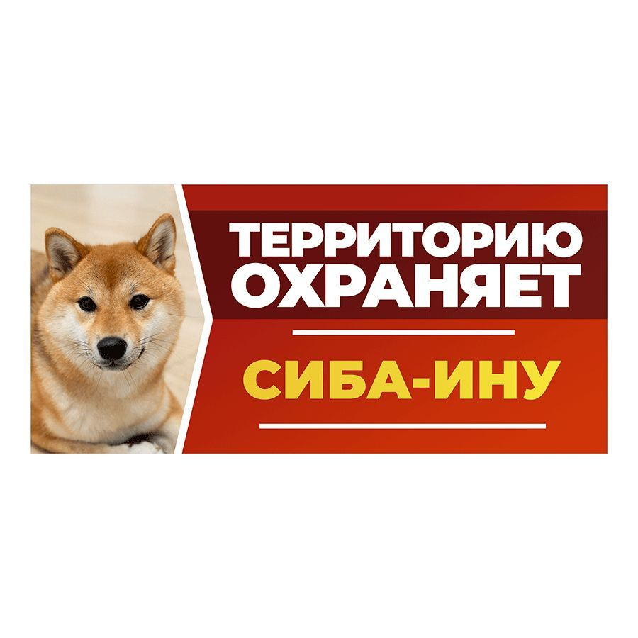 Табличка, DANGER DOG, Сиба-ину, на забор, 30см х 14см #1