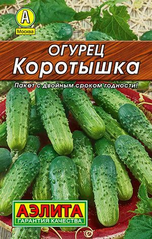 Огурец Коротышка для балконов и теплиц #1