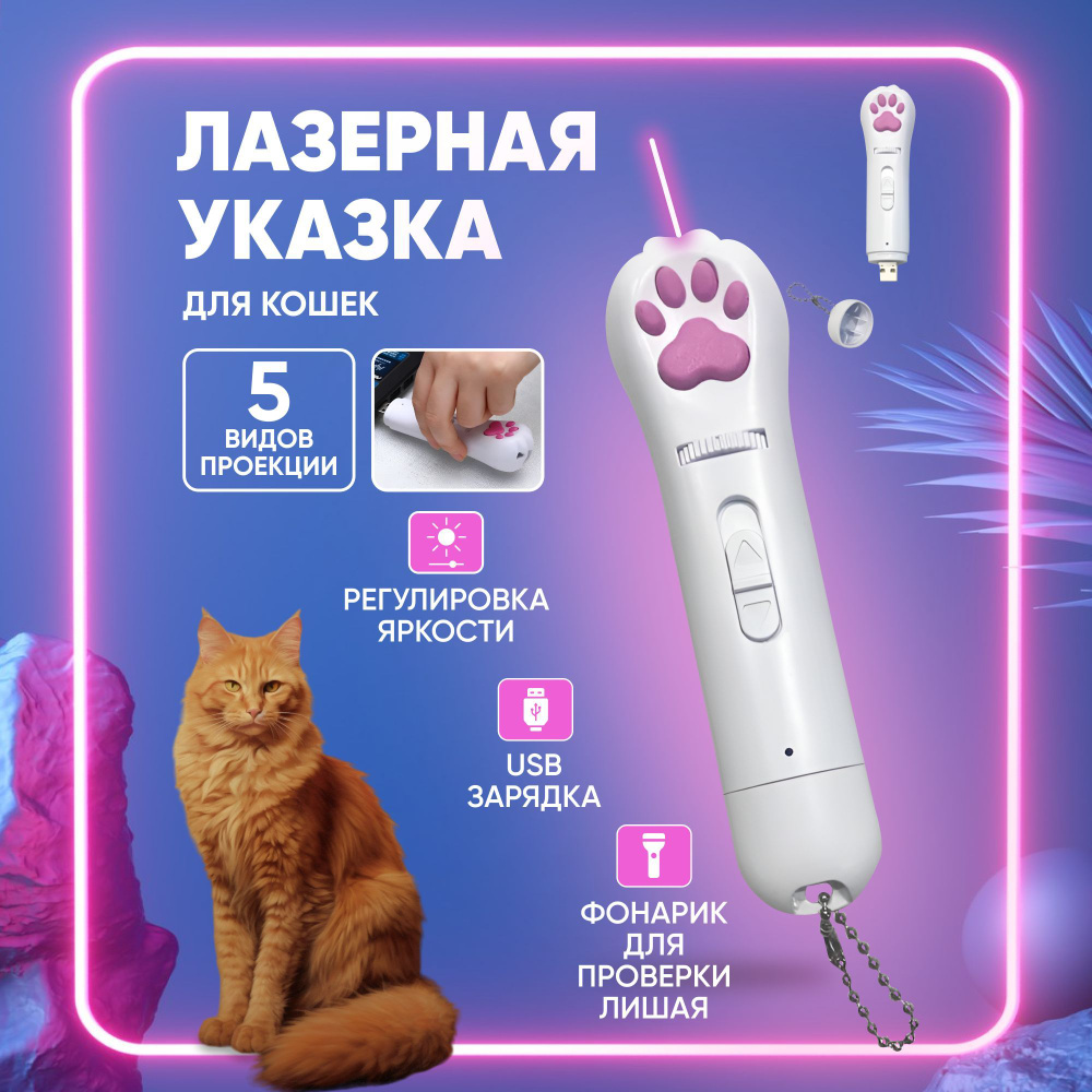 лазерная игра для кошек (97) фото